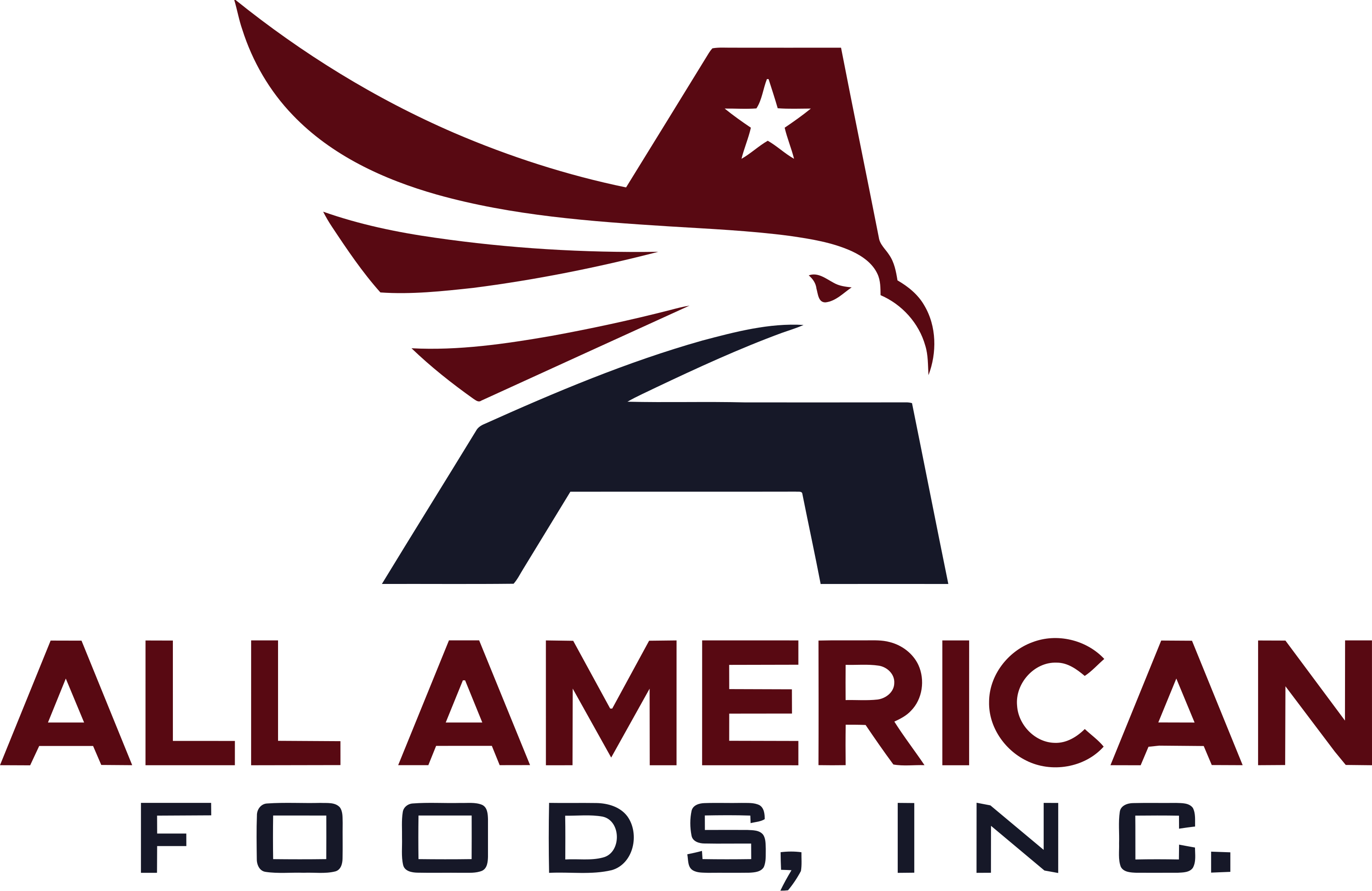 All American Foods Logo
