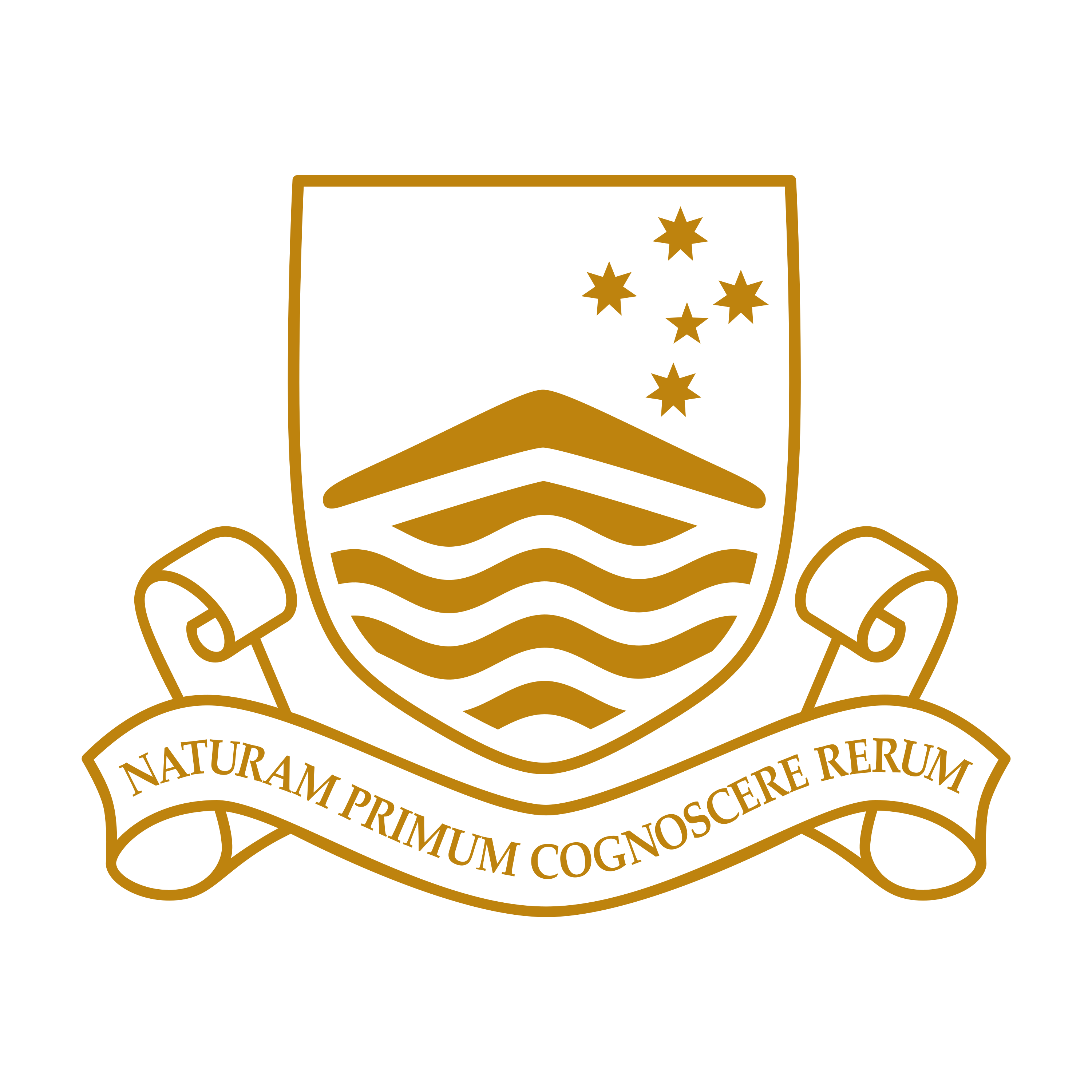 Australian National University Logo
