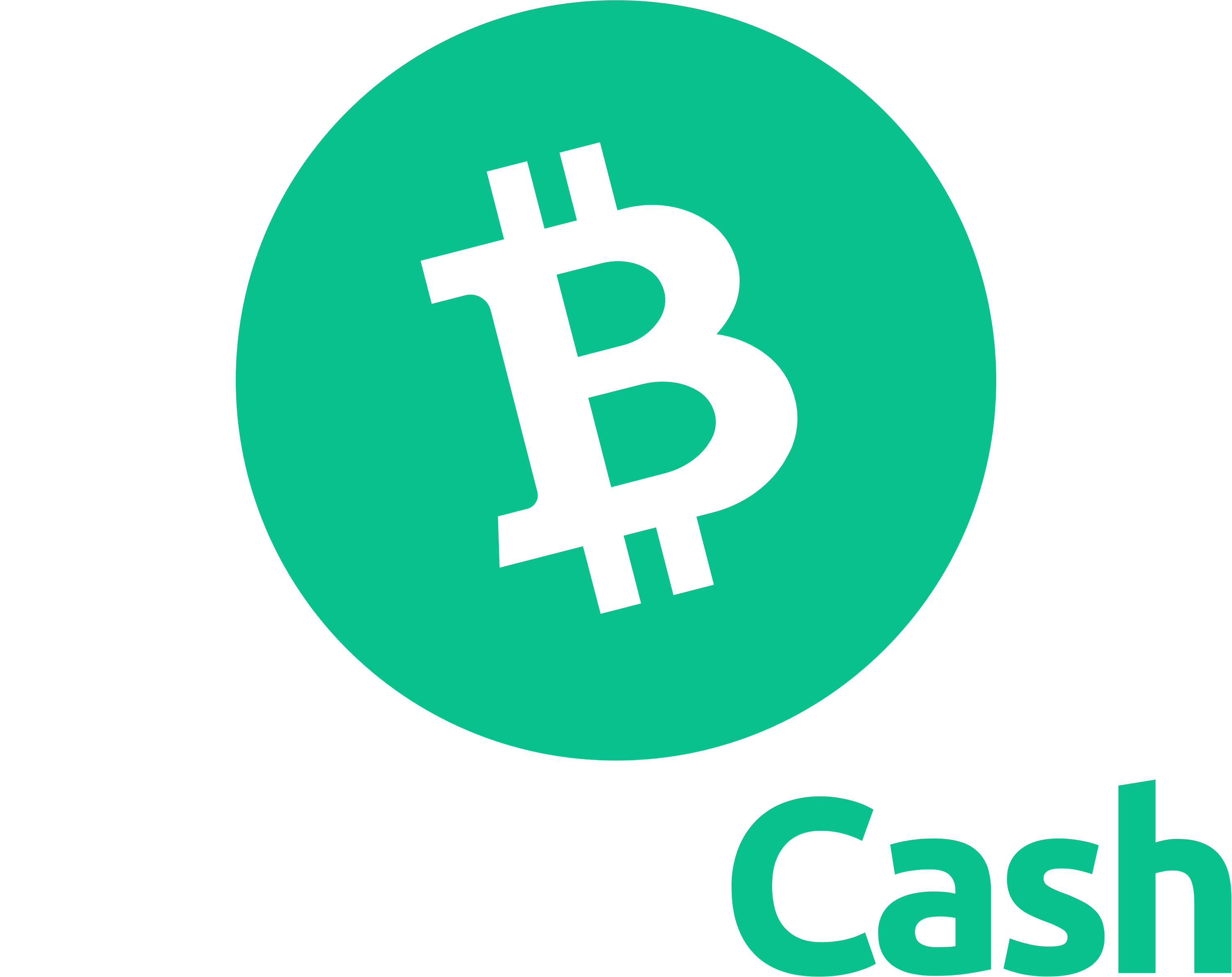 Bitcoin Cash Logo