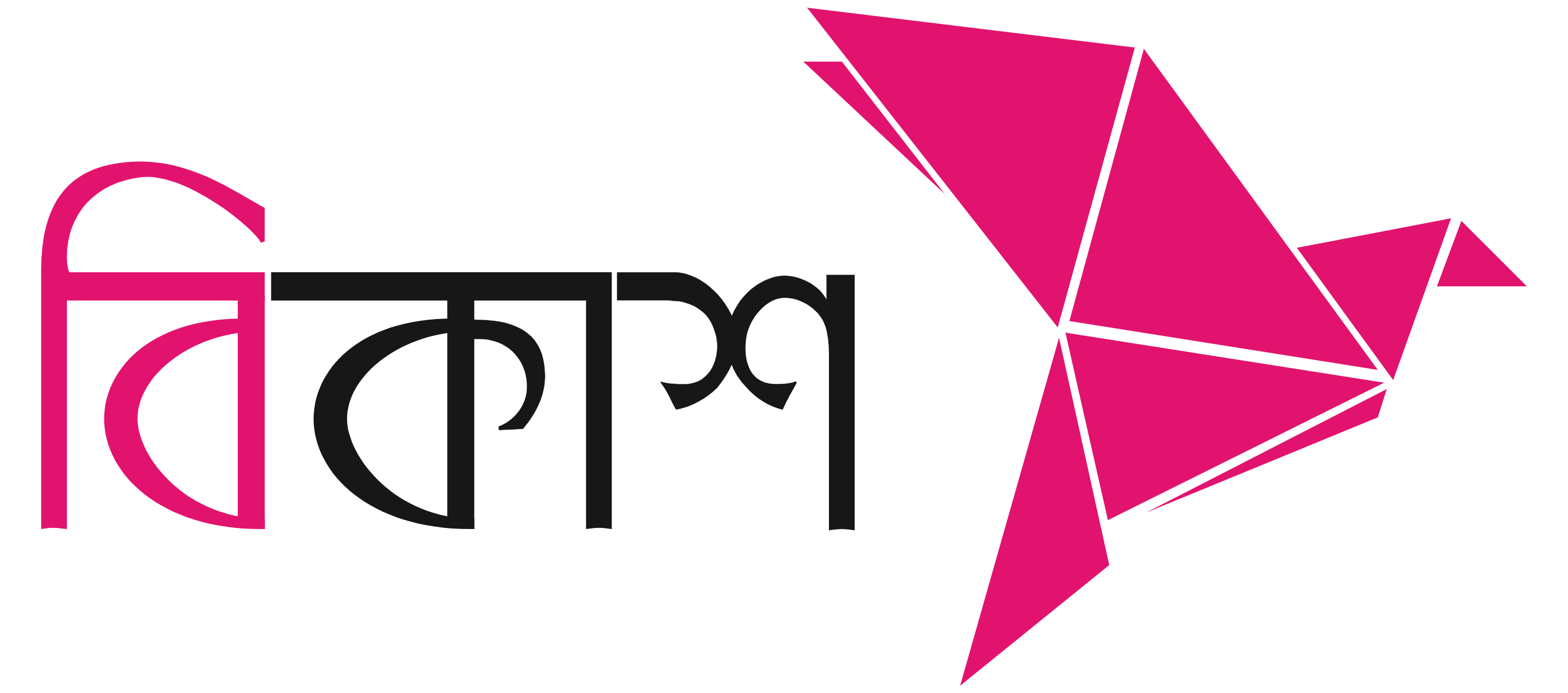 Bkash Logo