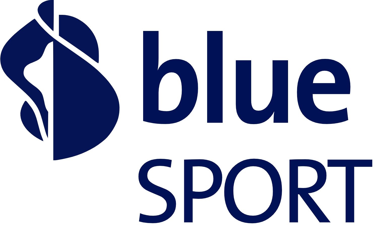 Blue Sport (TV) Logo