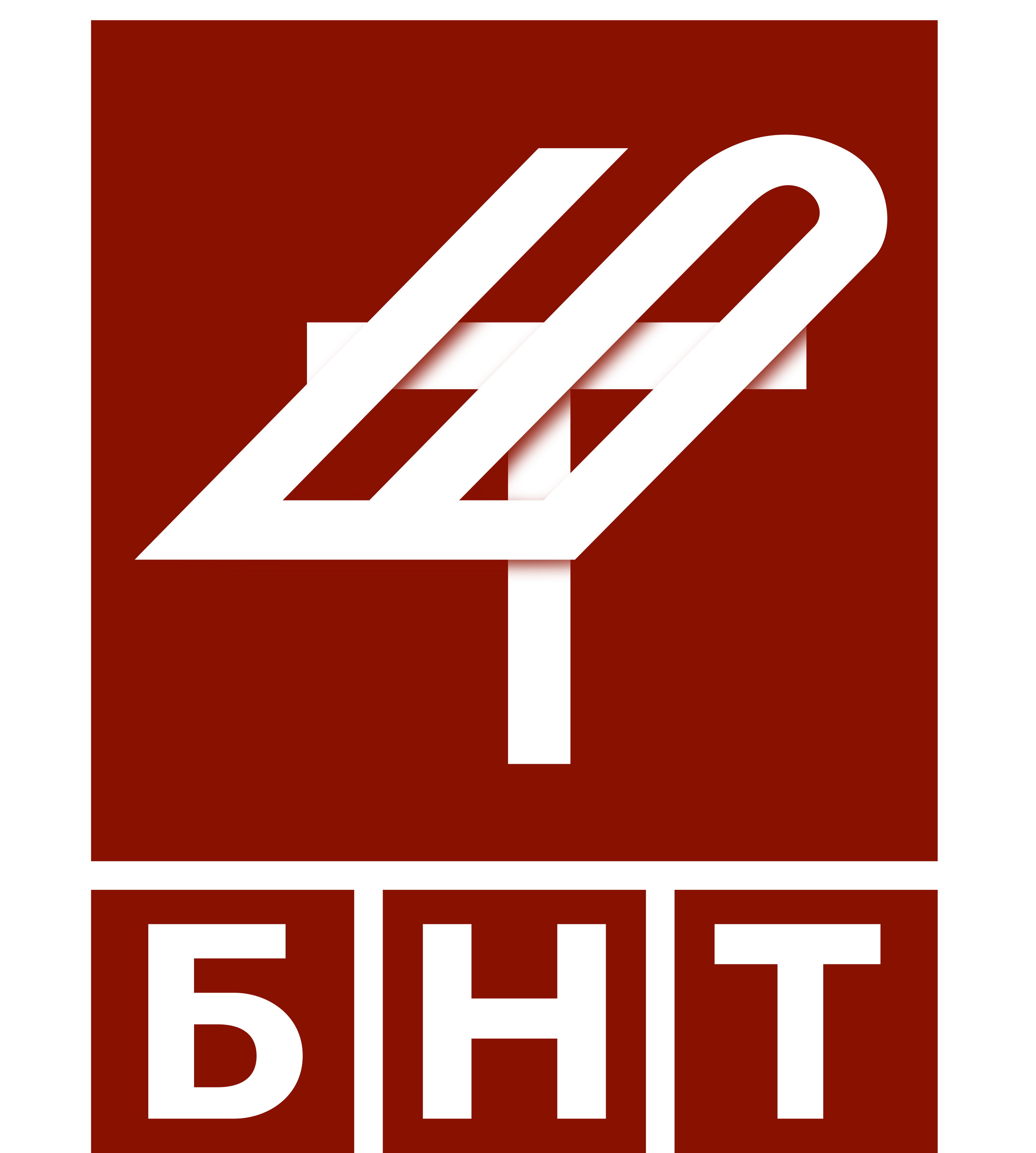 Bnt Logo