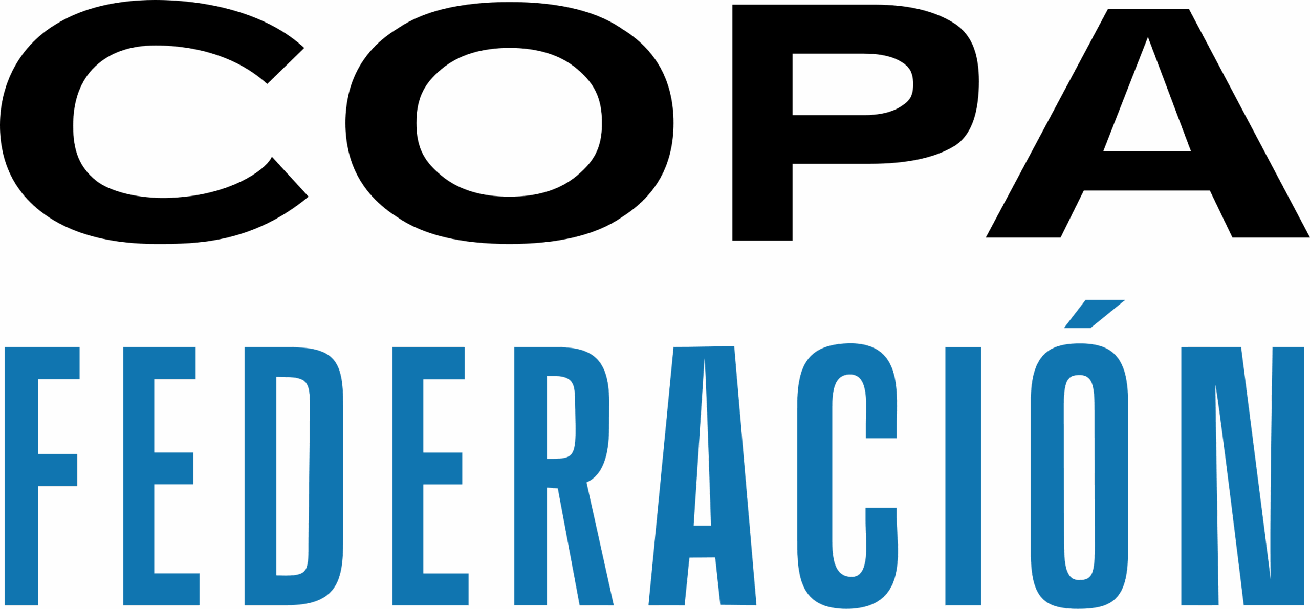 Copa Federacion Logo