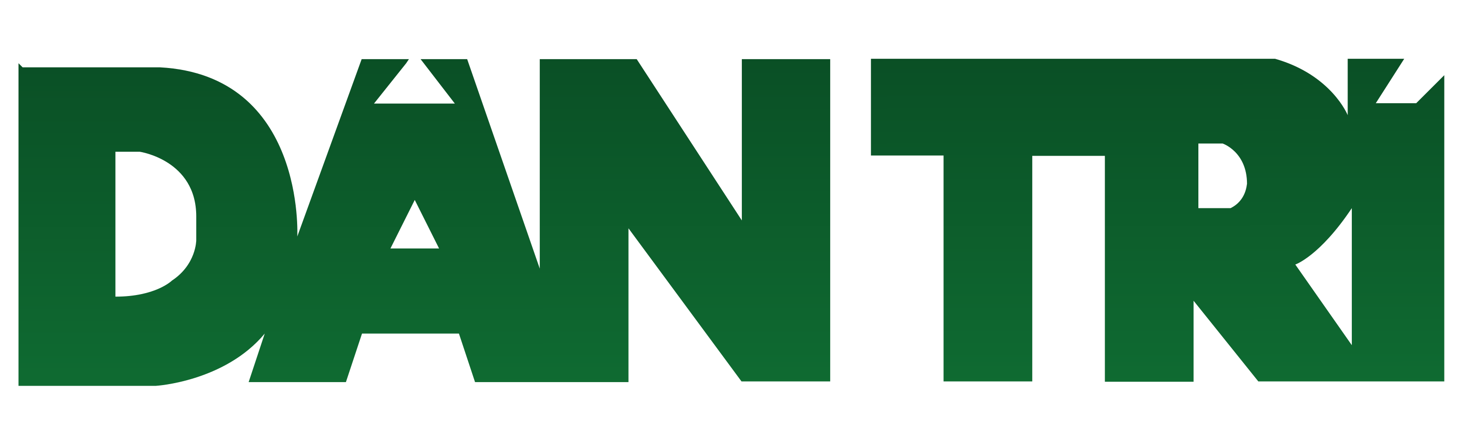 Dan Tri Logo