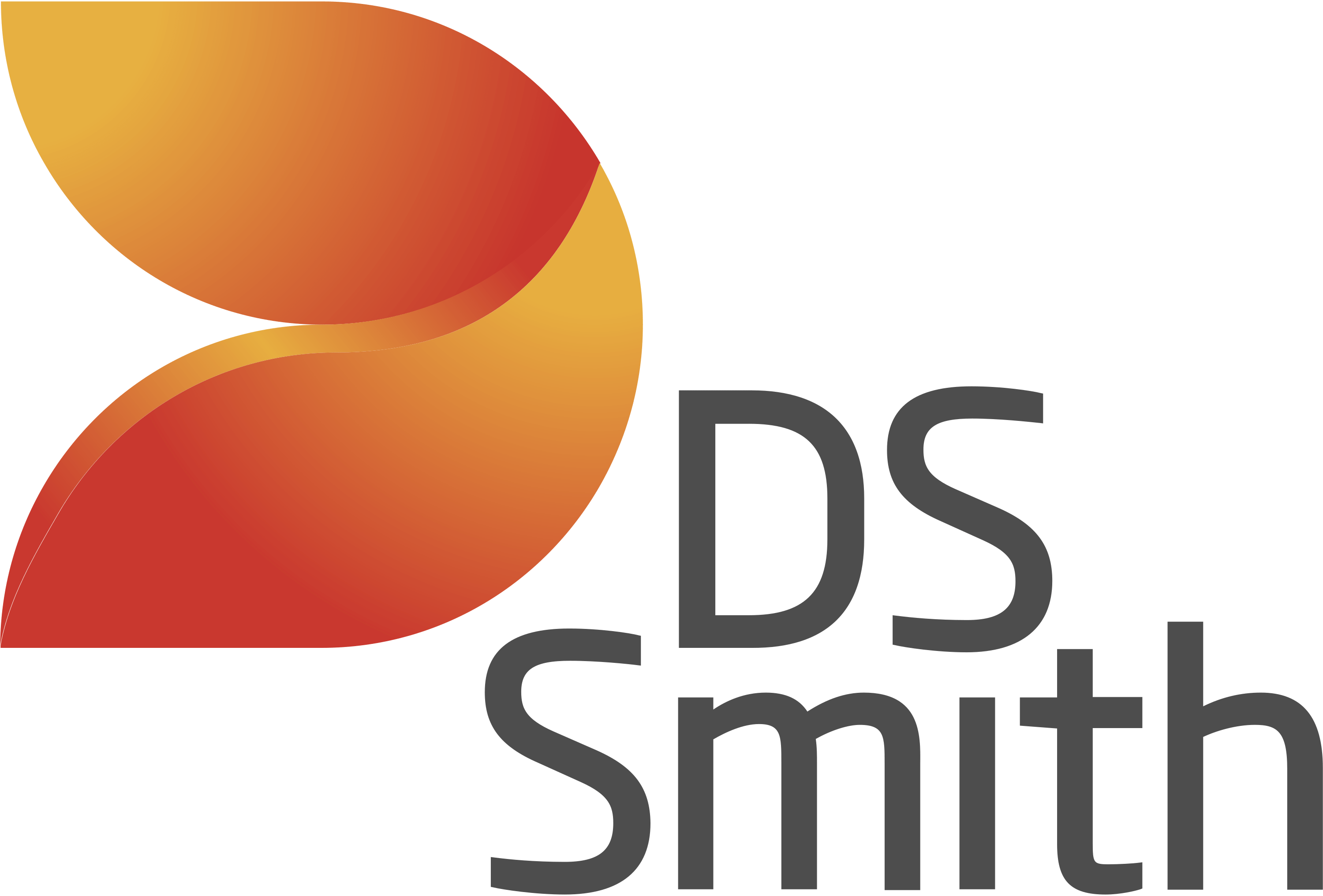 DS Smith Logo