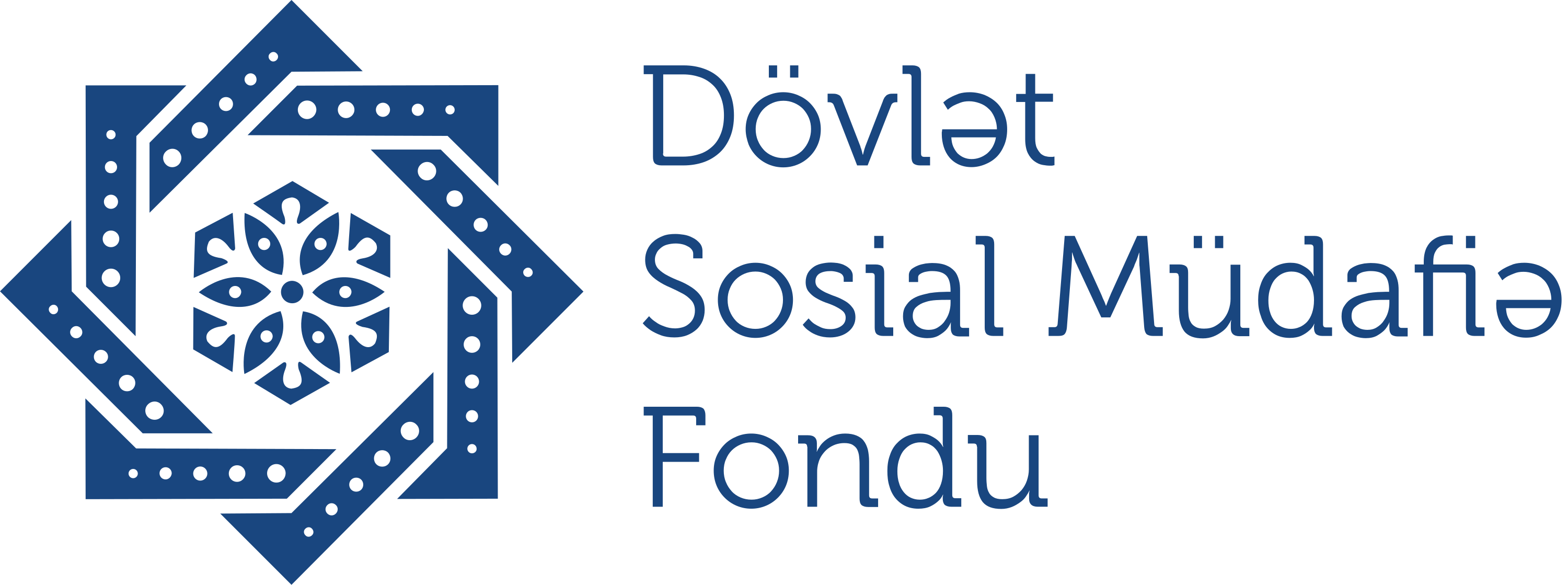 Dsmf Logo