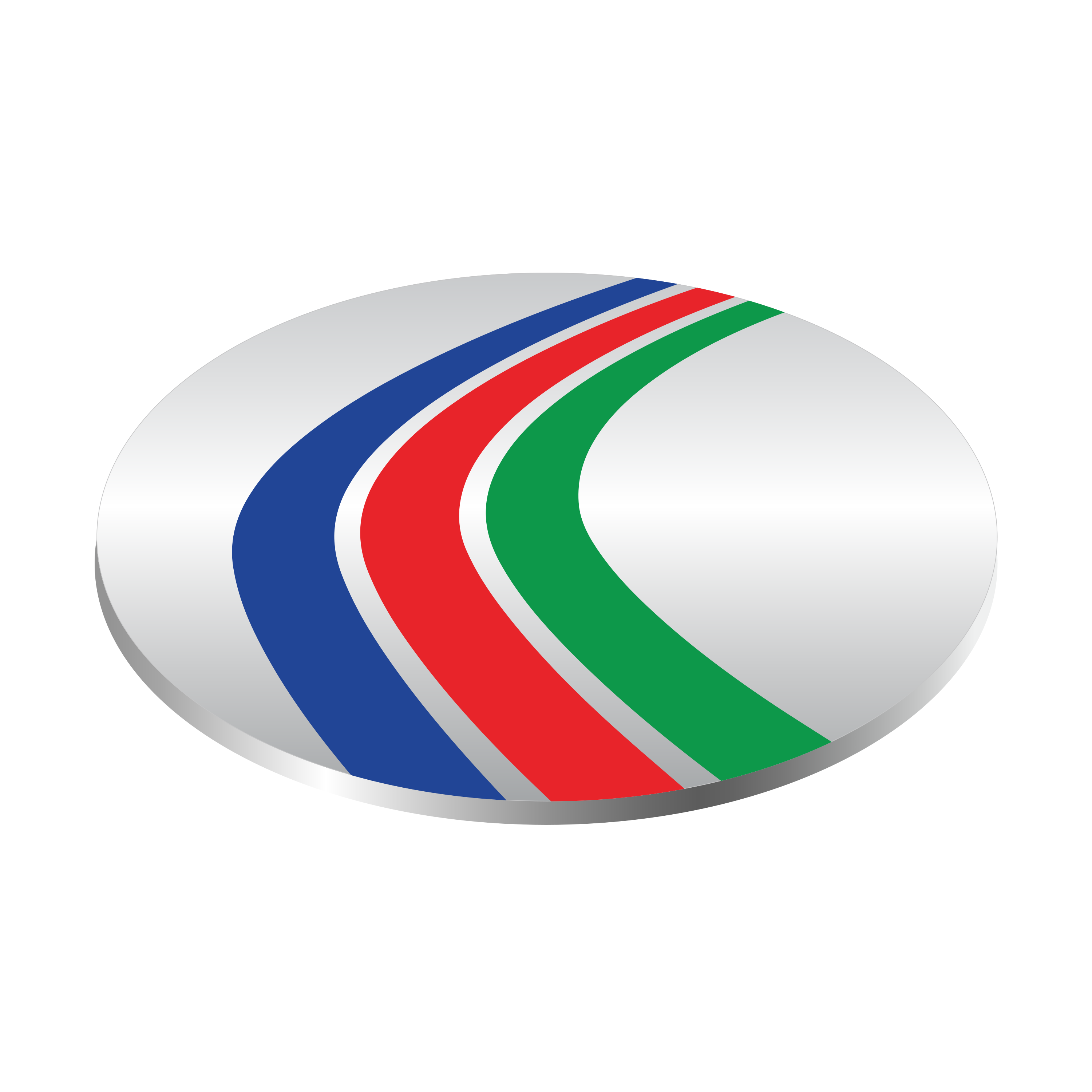 Dutch Bangla Bank LTD Logo