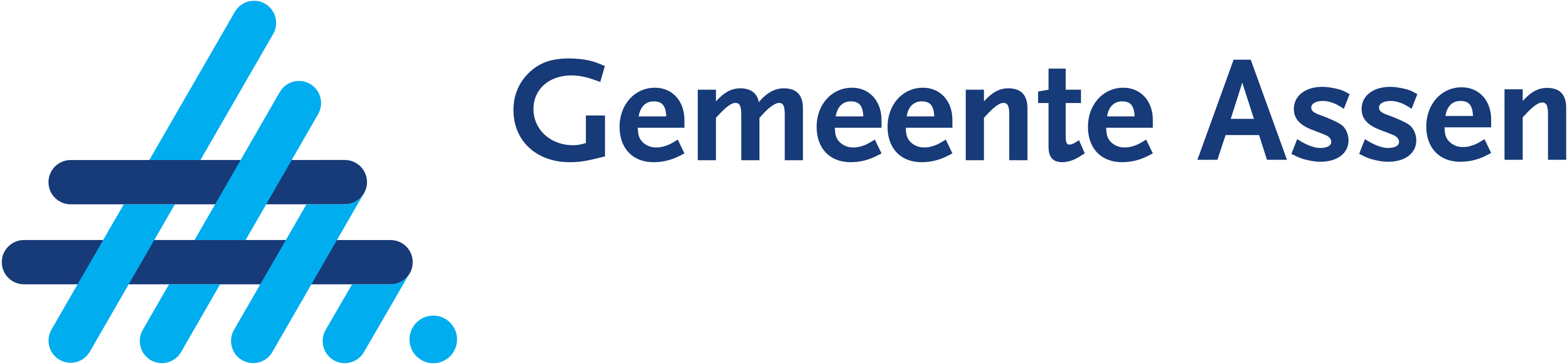 Gemeente Assen Logo