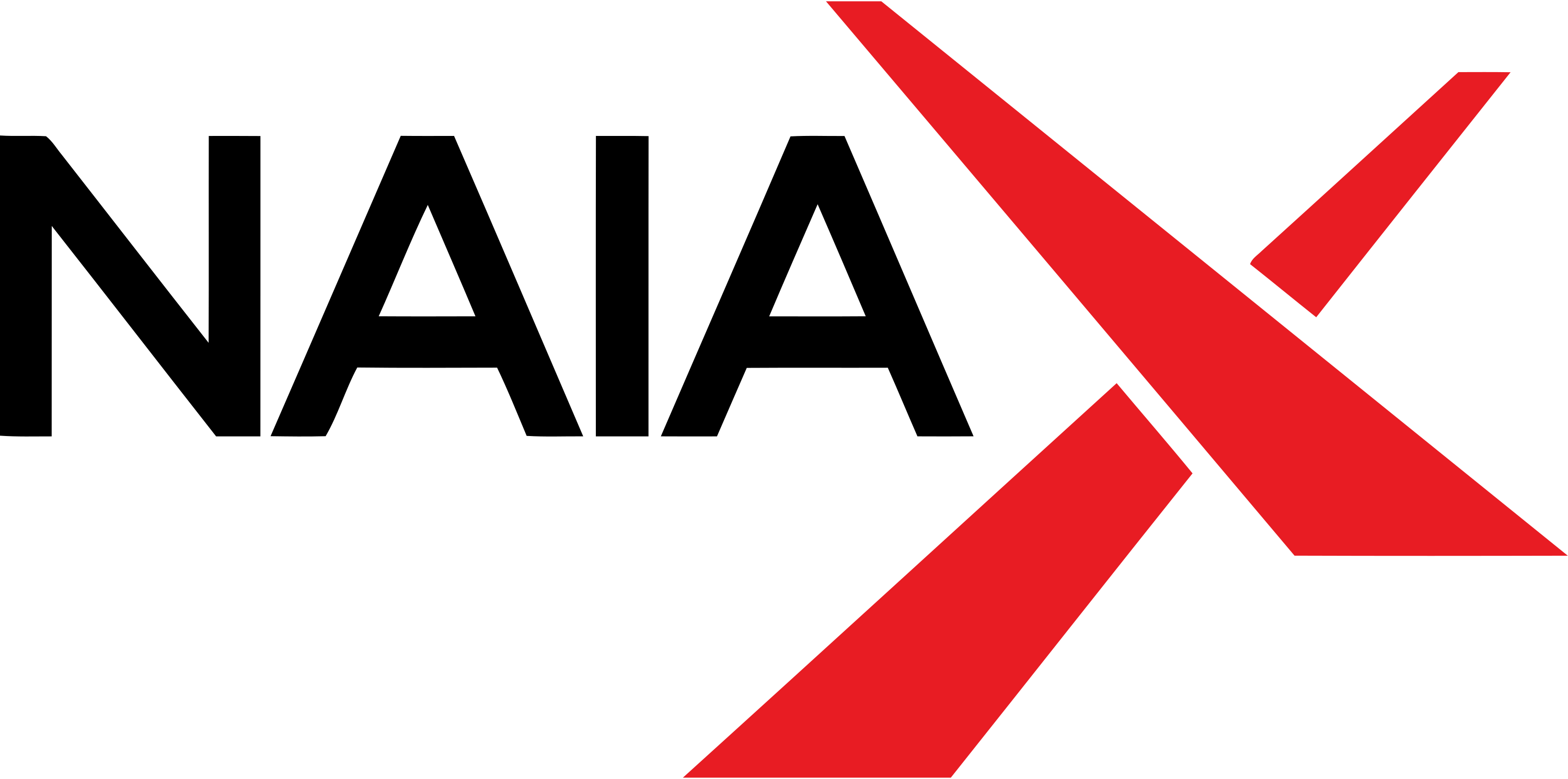 Naiax Logo