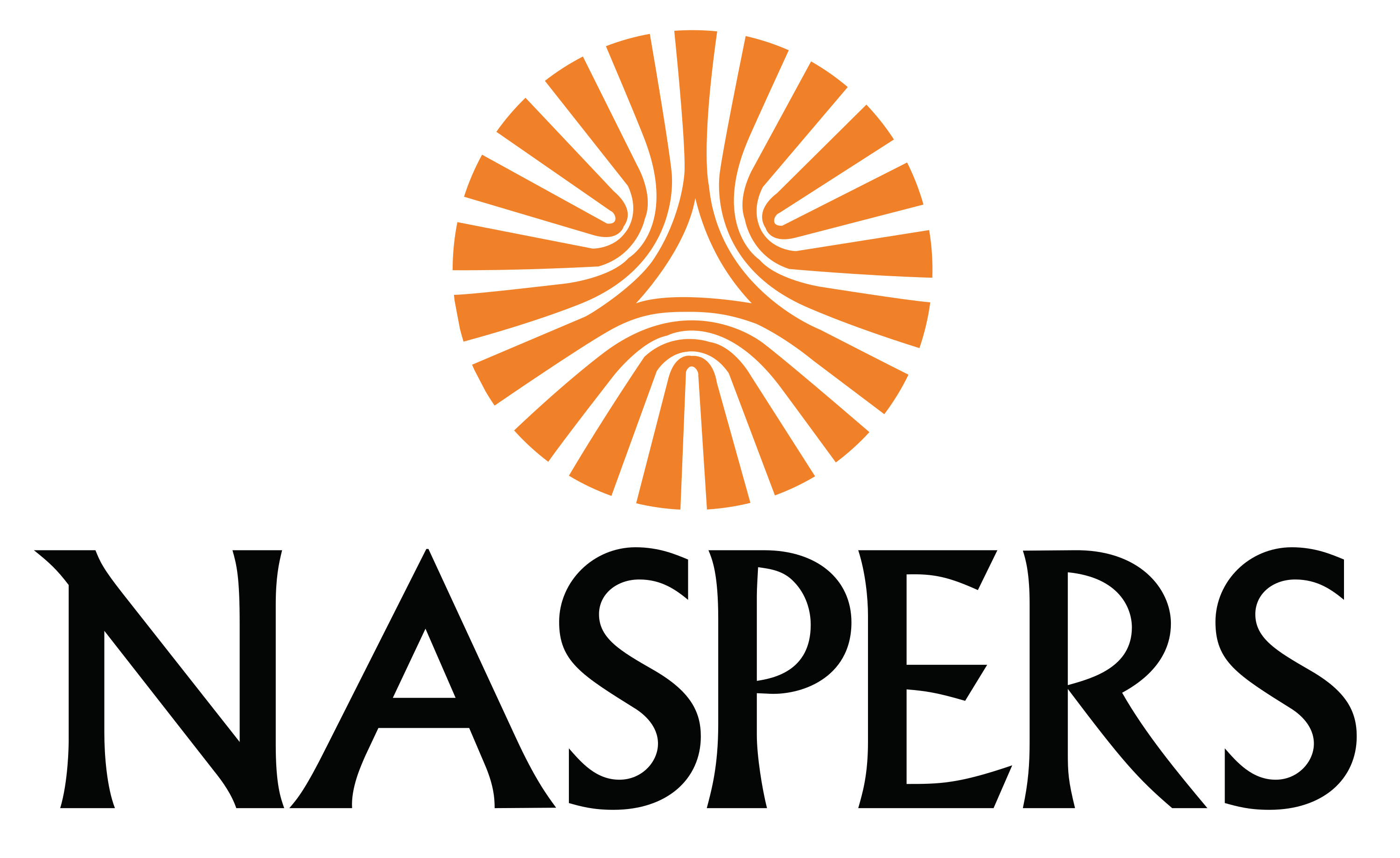 Naspers Logo