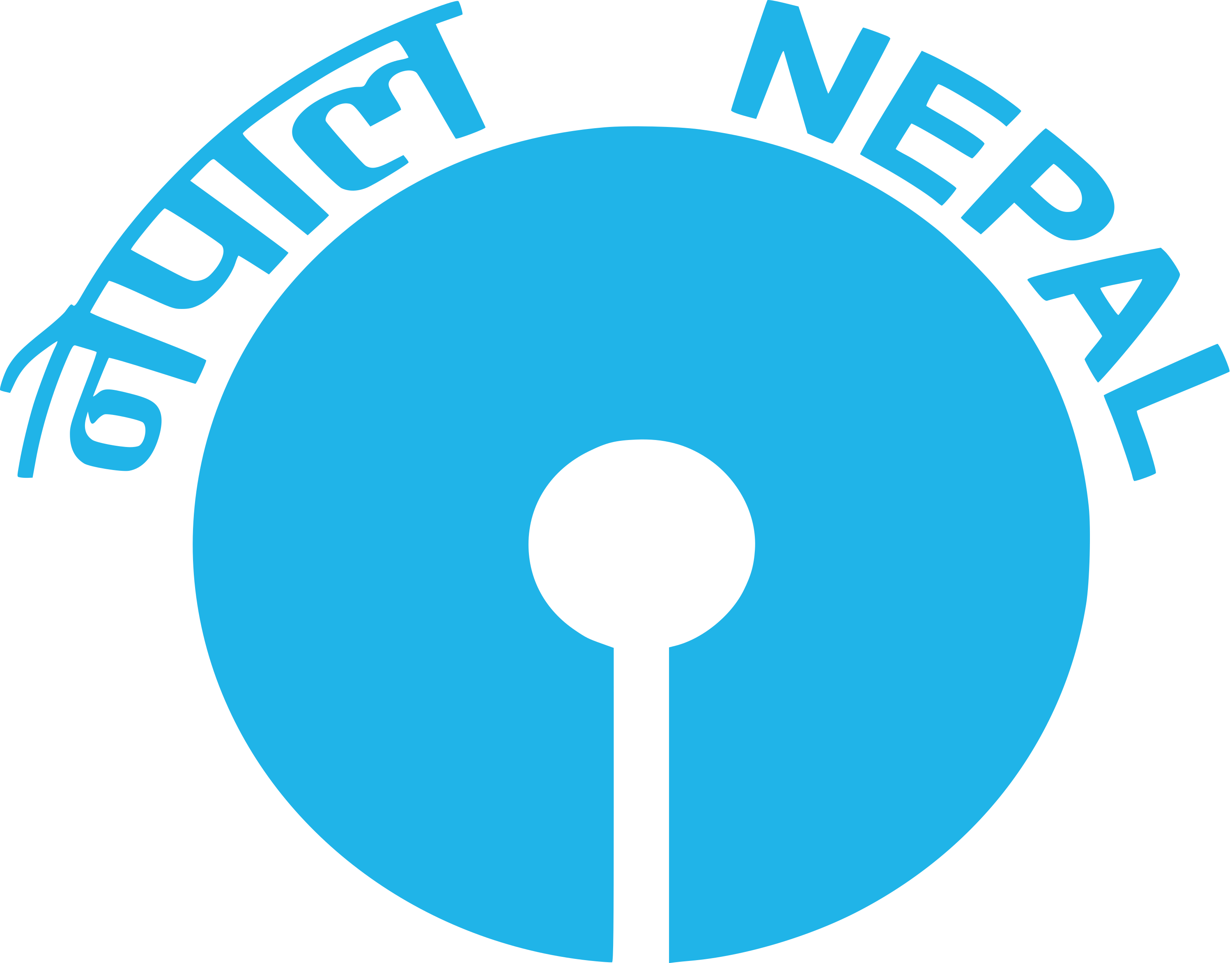 Nepal SBI Bank Logo