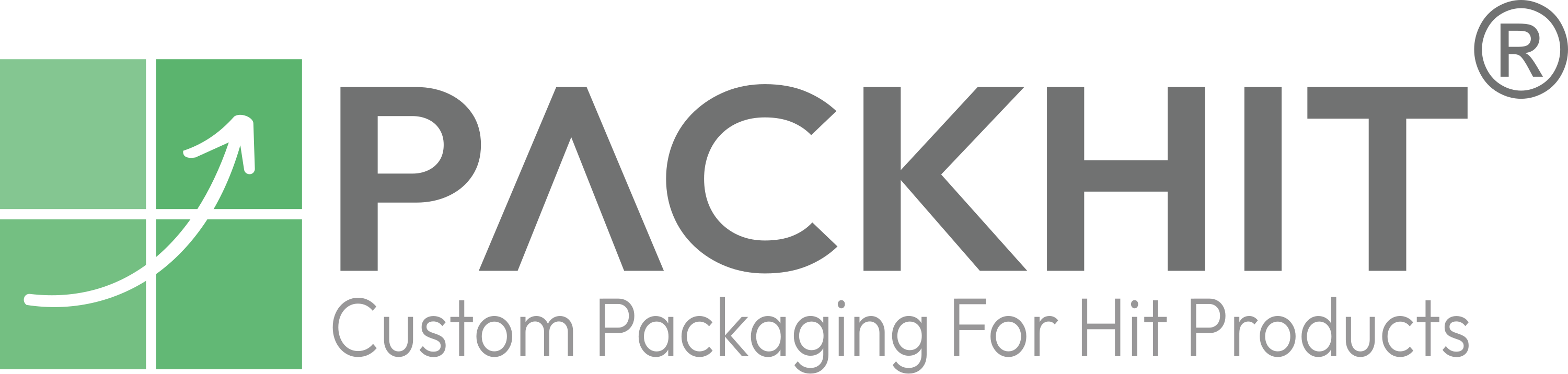 Packhit Logo