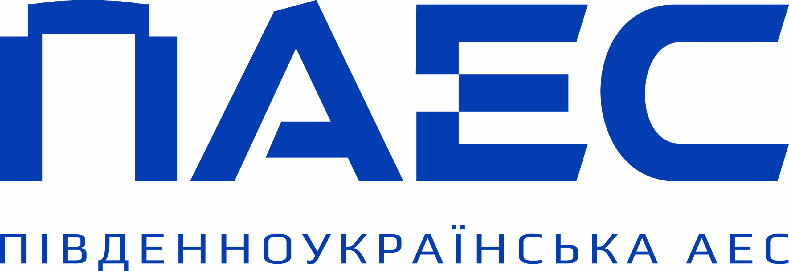 Paes Logo