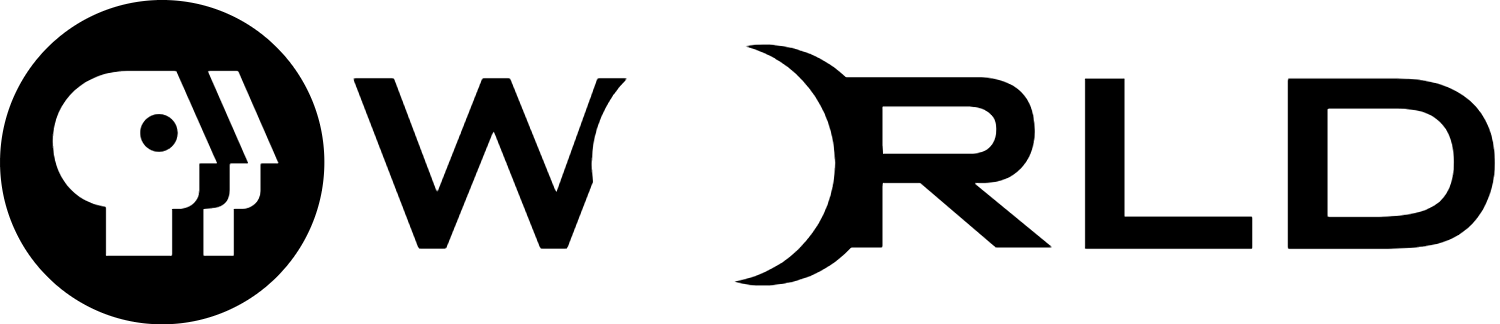 PBS World Logo