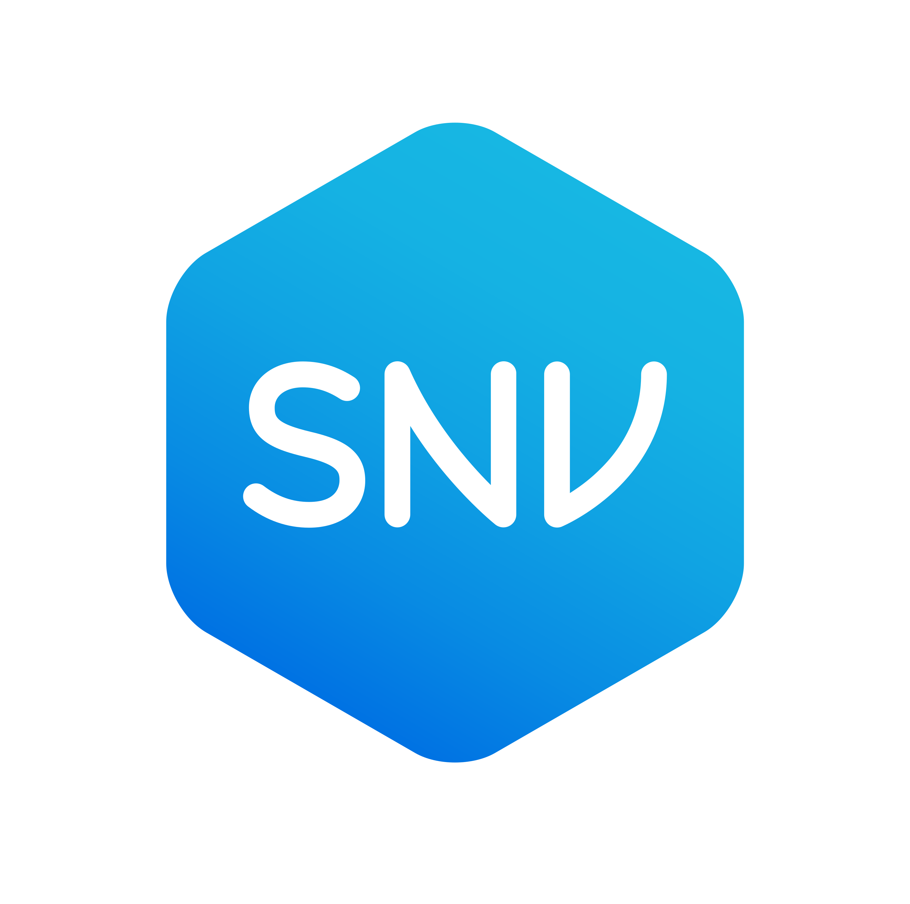 SNV (Netherlands Development Organisation) Logo