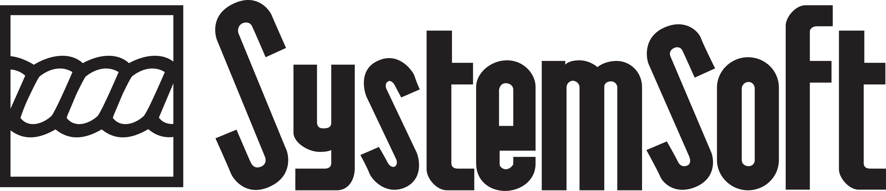 SystemSoft Alpha Logo