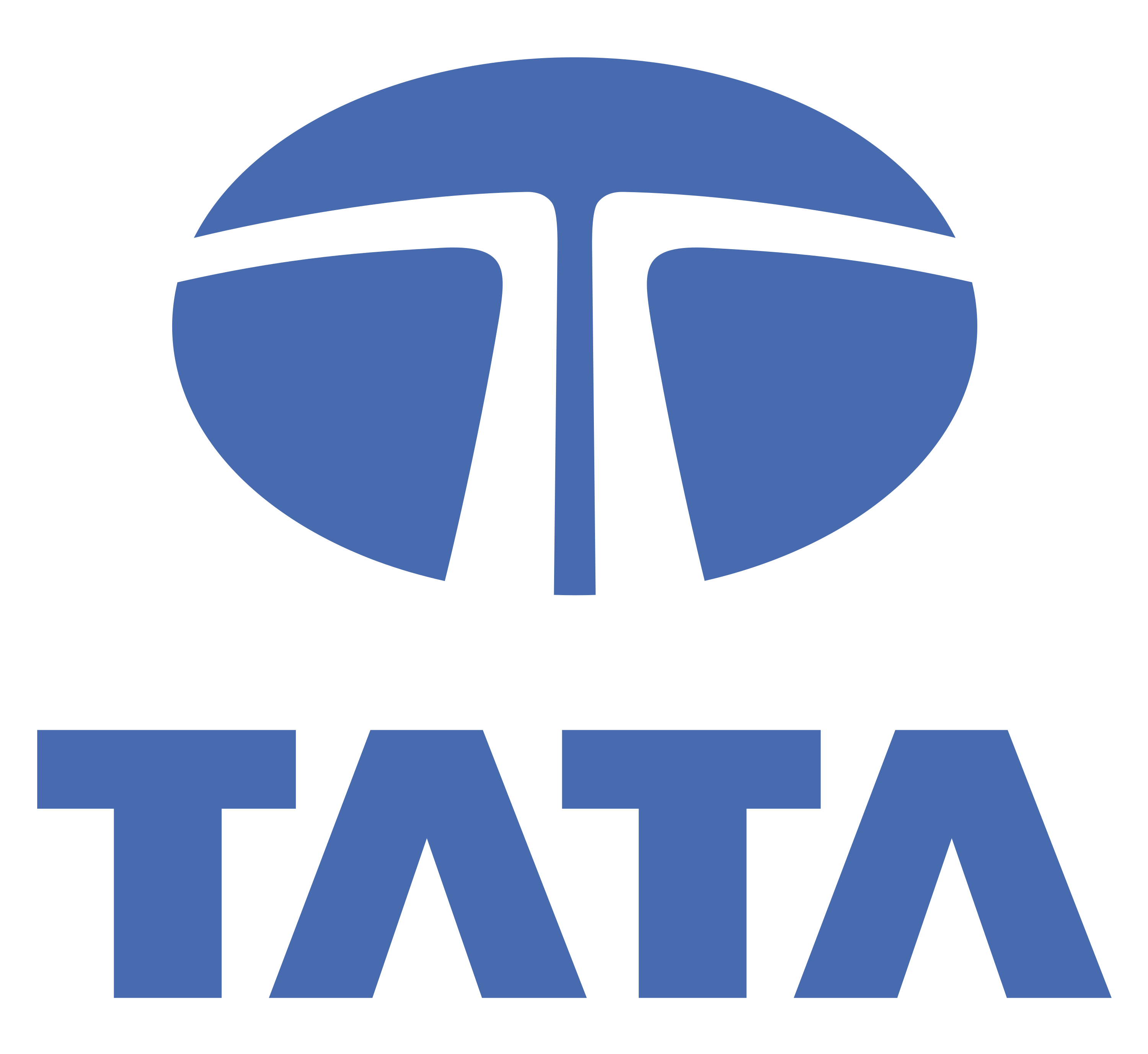 Tata Logo
