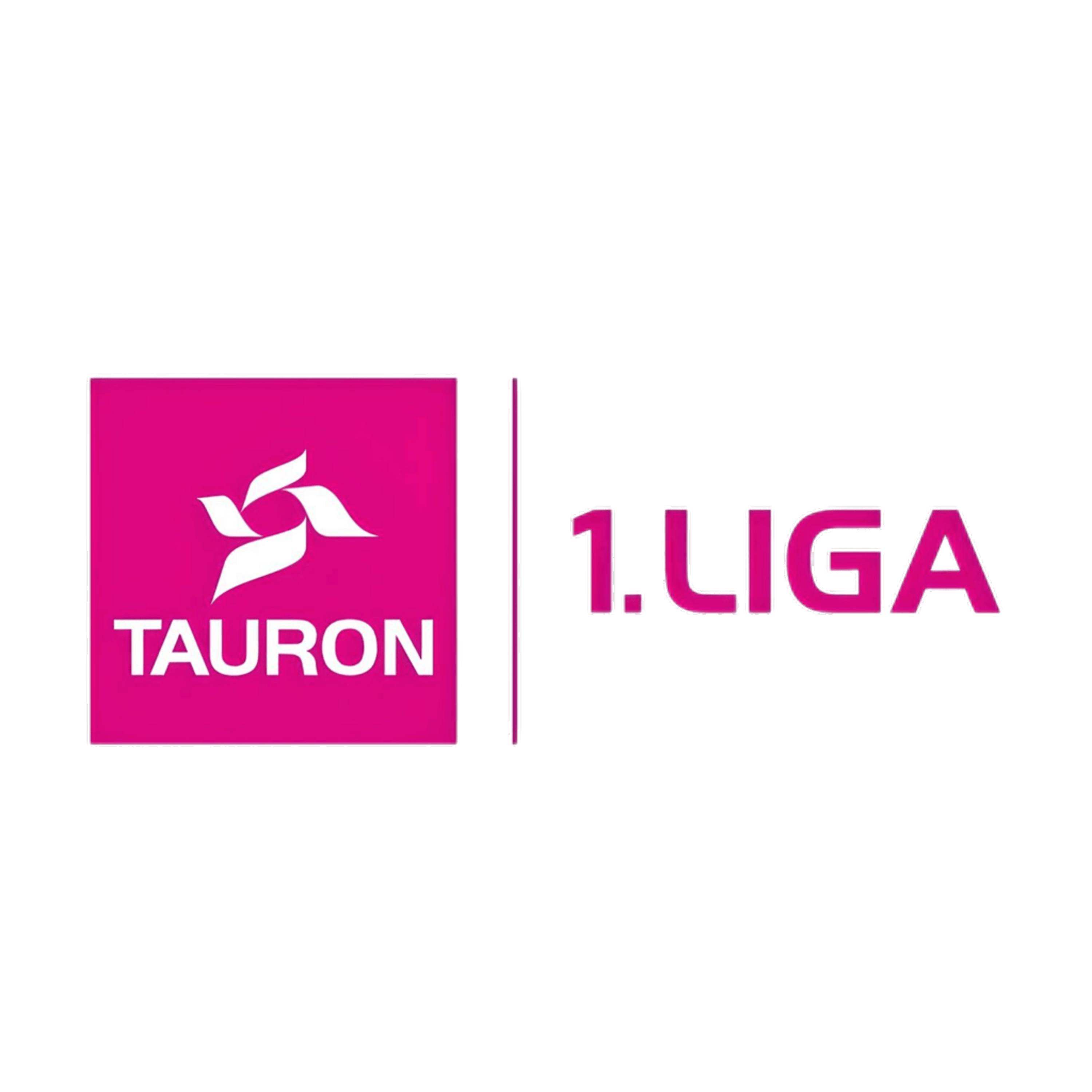Tauron 1. Liga Logo