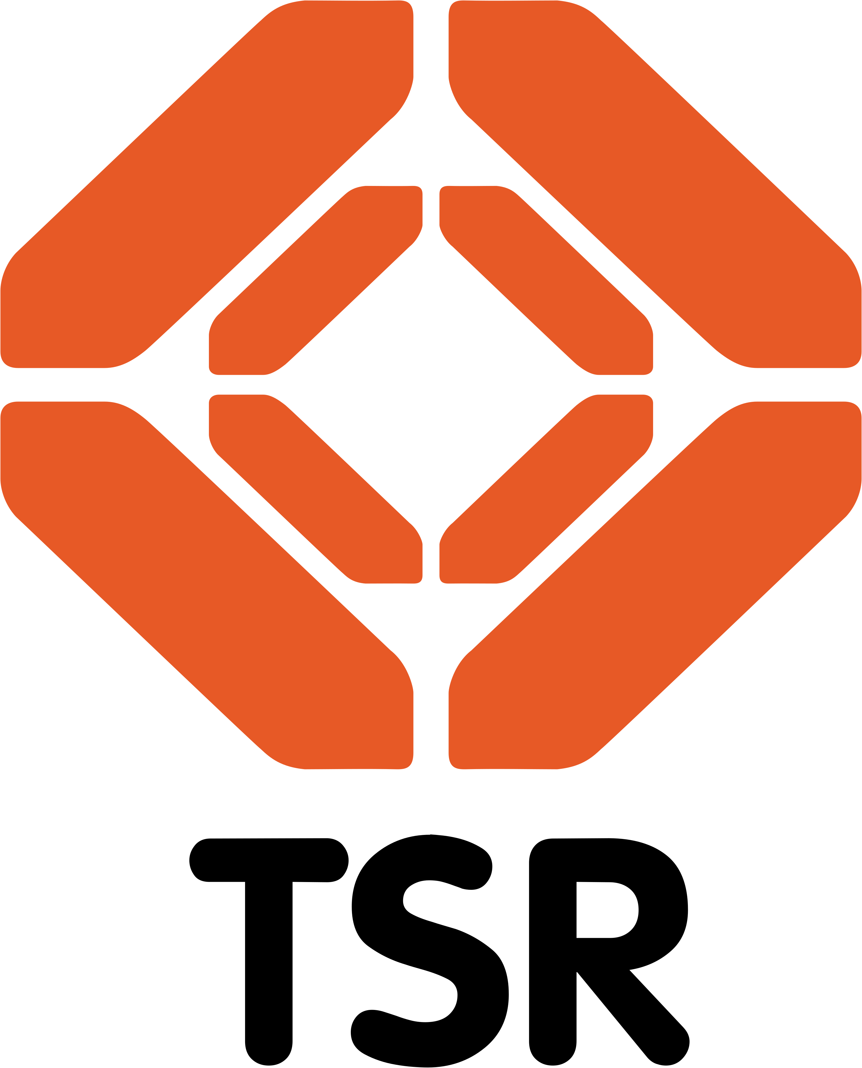 TSR TV (Television Suisse Romande) Logo