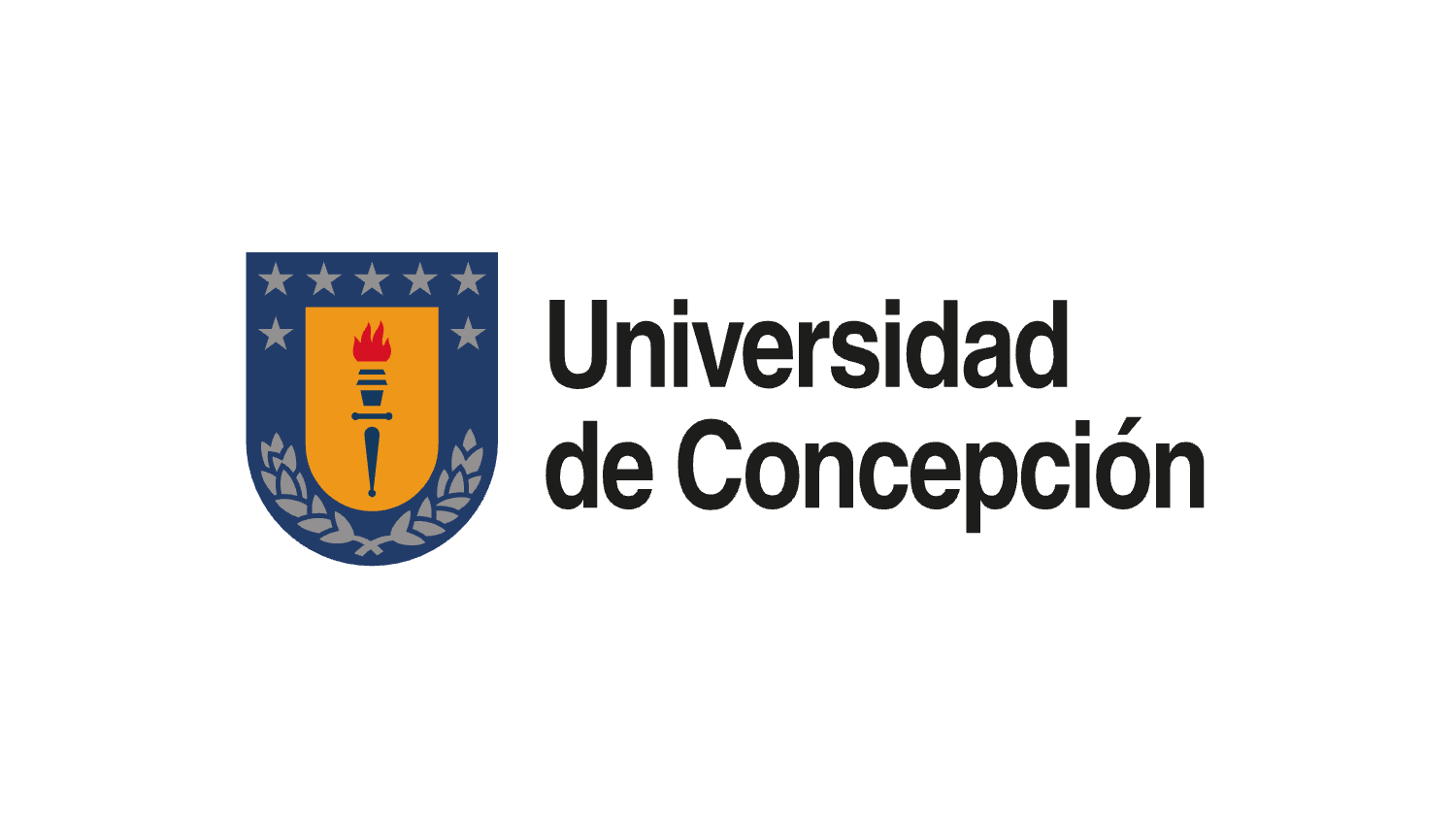 Universidad de Concepcion Logo