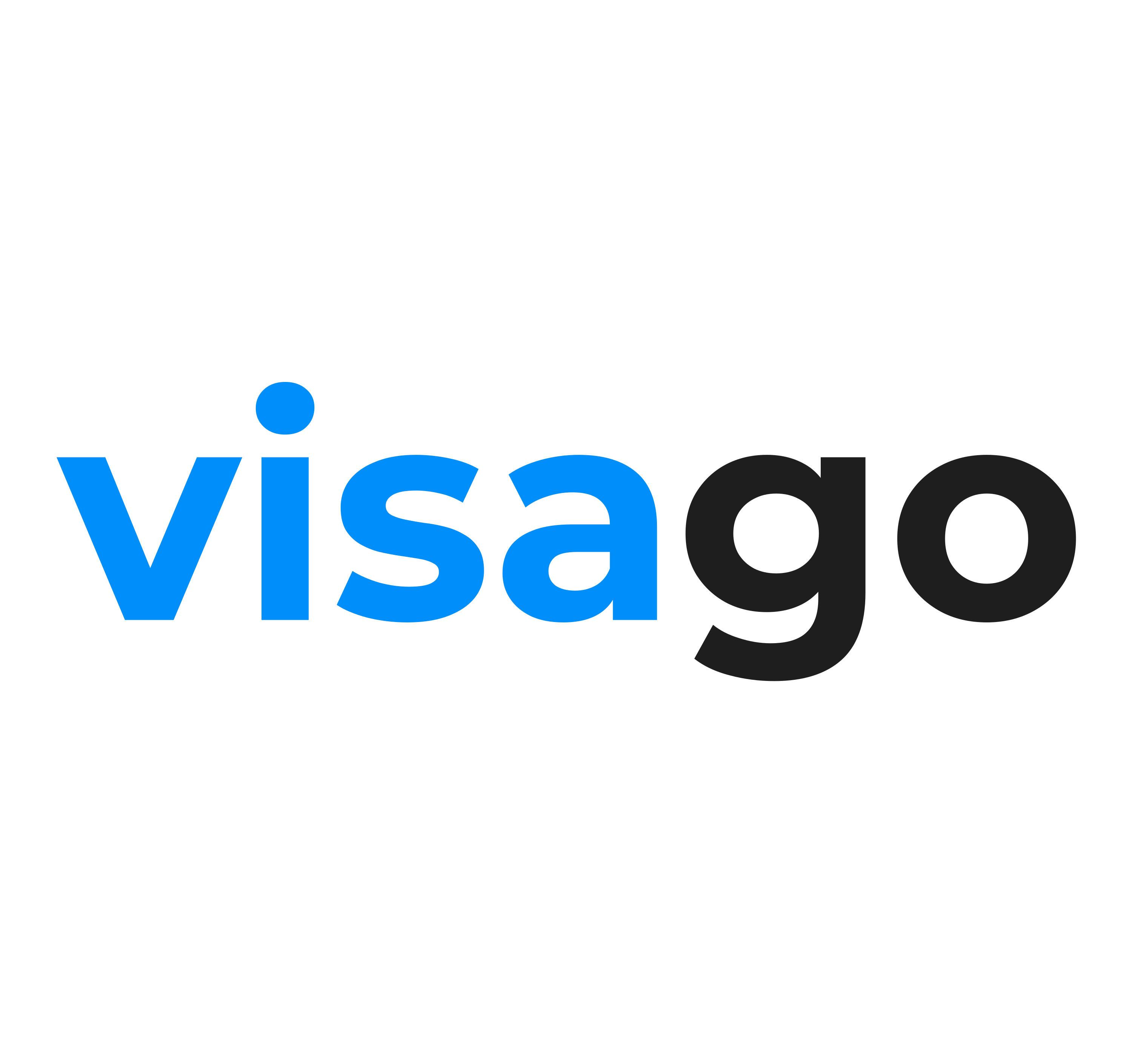 VisaGo Logo