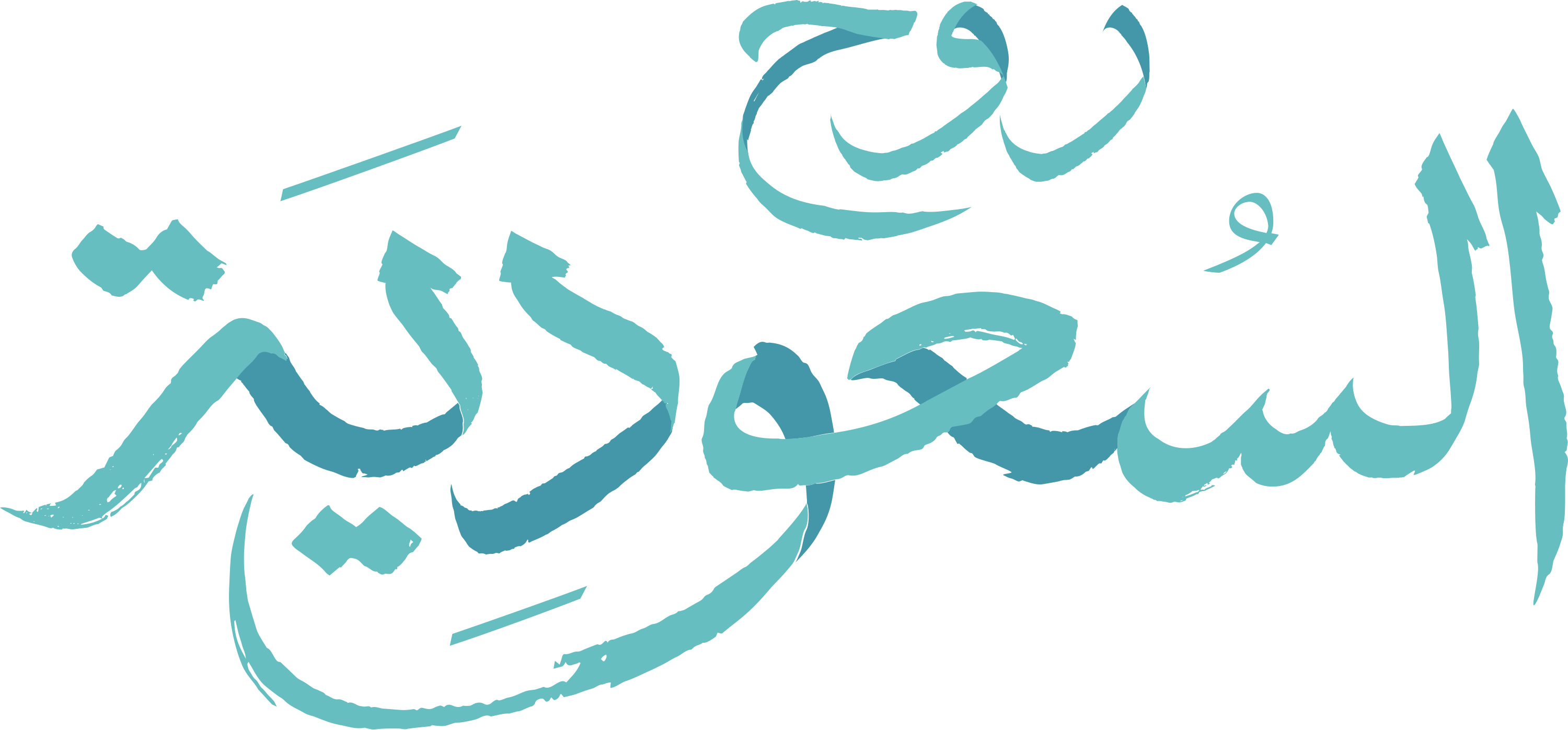 Visit Saudi Logo