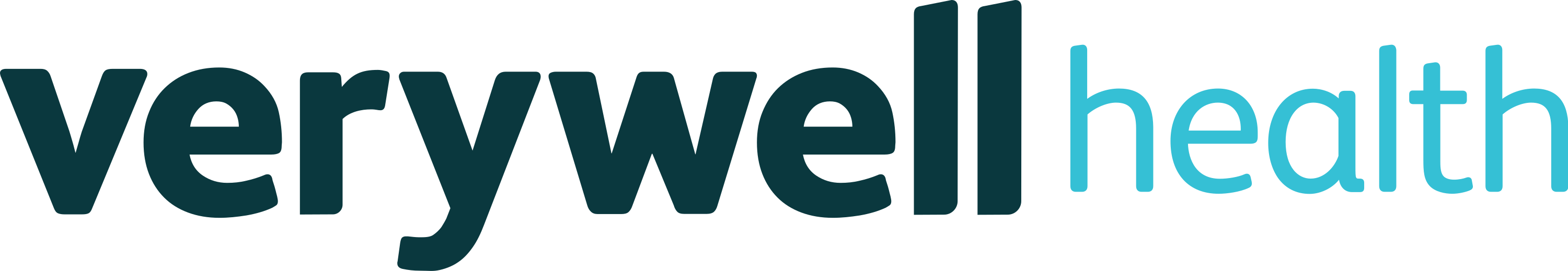 VWHealth Logo