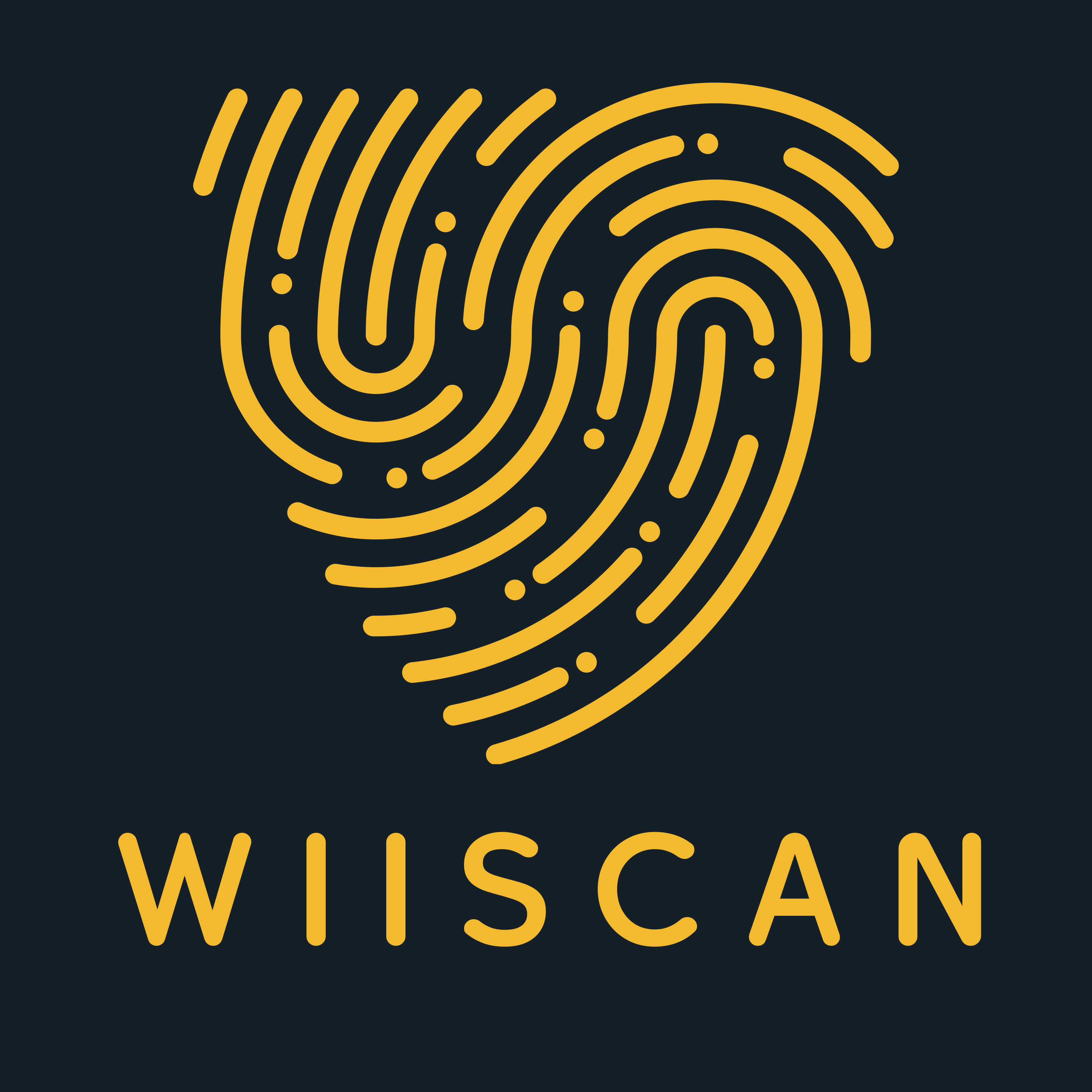 WiiScan Logo