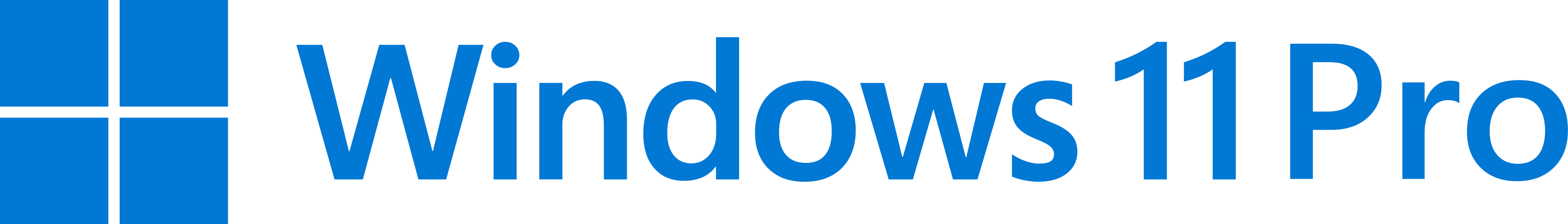 Windows 11 Pro Logo