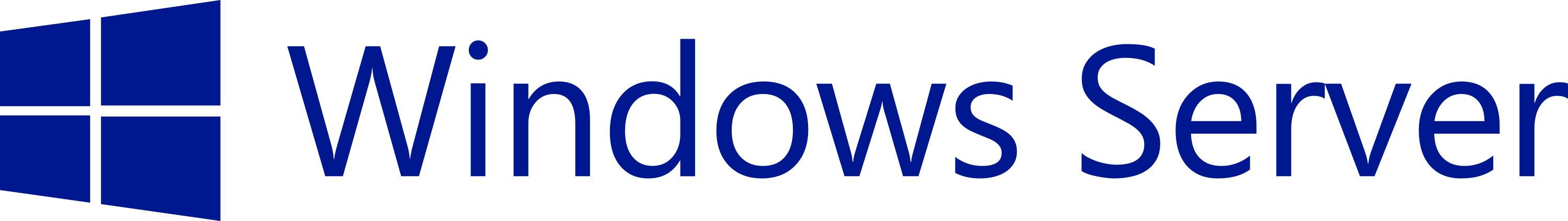 Windows Server Logo