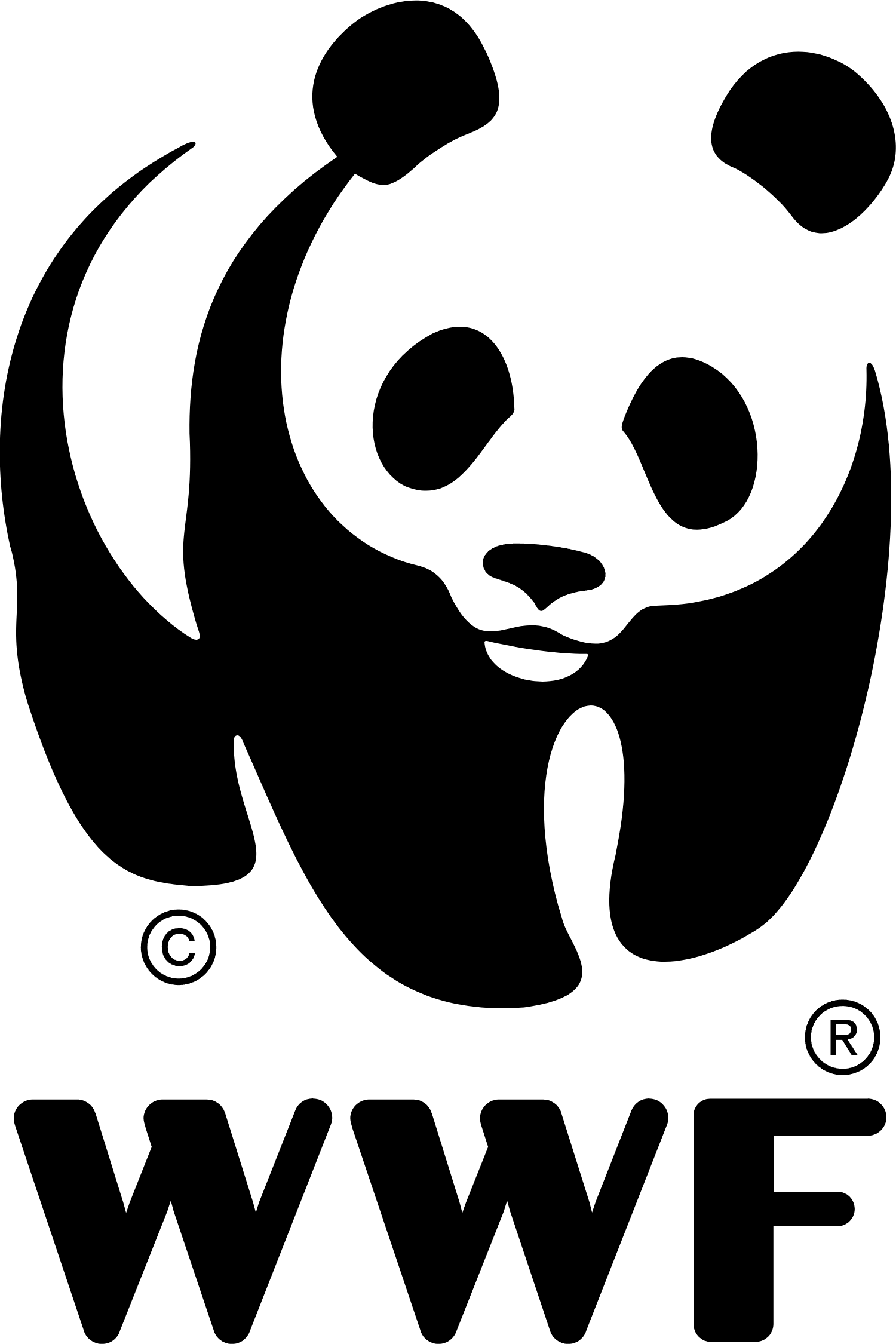 WWF (World Wildlife Fund) Logo